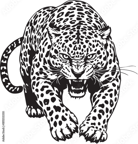 Aggressive Roaring Leopard Prowling Vector Illustration. Black and White Wild Cat Animal Stalking, Attacking, and Hunting.
