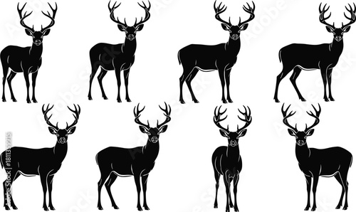 Vector collection of standing deer silhouettes, black buck animals with antlers, wild forest nature icons, hunting season symbols, mammal illustrations for wildlife design set