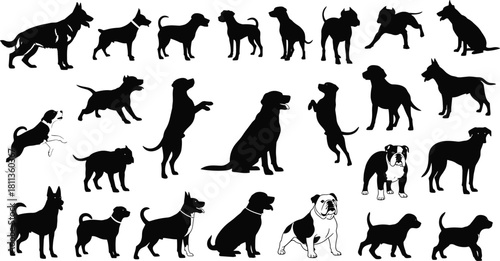 Vector collection of mixed dog breed silhouettes including shepherd bulldog and terrier for pet shop and veterinary clinic design
