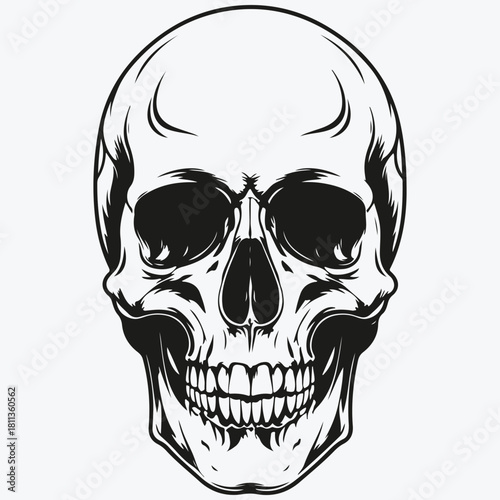 scull sketch illustration vector