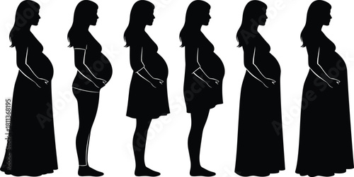 Vector silhouette of Tyrannosaurus Rex dinosaur skeleton, black bone structure illustration, ancient fossil T-Rex animal for museum science design, isolated white background graphic icon