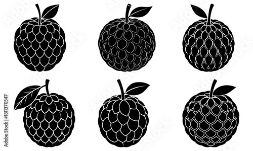 Illustration of six black and white sugar apples with leaves in a symmetrical arrangement format