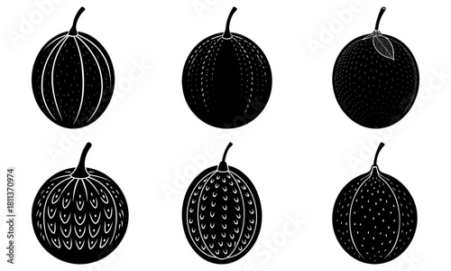 Illustration of six passion fruits with varying patterns in black and white monochrome style art design