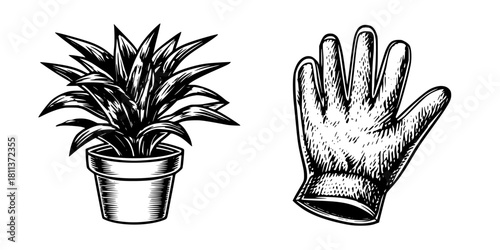 classic scene domestic tranquility | Clean, isolated vector art for creative projects.