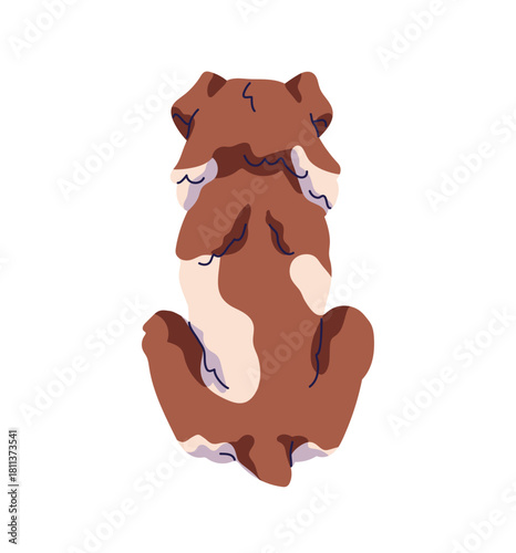 Turned away border collie with wagging little tail. Backside of sitting dog with brown color of coat. Fluffy puppy back view. Behind of cute pet, animal. Flat isolated vector illustration on white