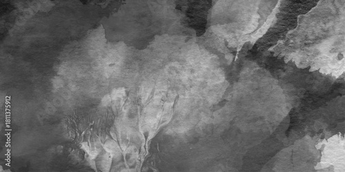 abstract black and white marble watercolor texture and background, abstract monochrome ink or watercolor splatters, with fluid washes and textured details, oil painting on canvas hand oil painting. 