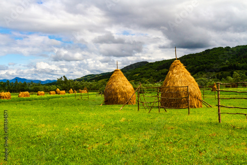 Traditional Haystacks in the field  near Baia Mare.  Maramures County, Romania
