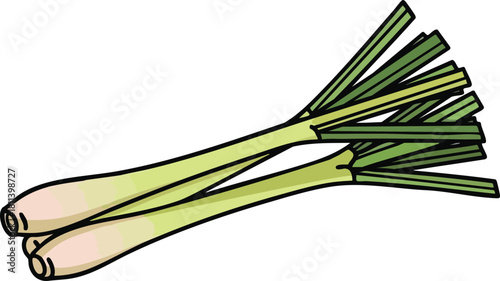 Illustration of three stalks of lemongrass with green leaves on a white background