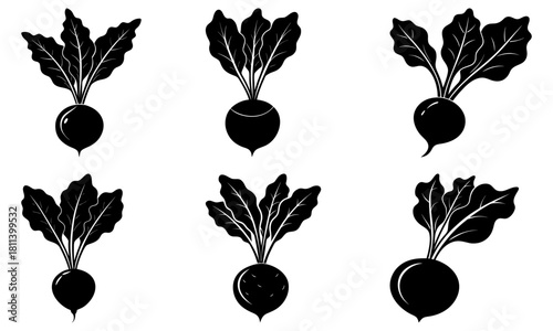 Six black and white vector illustrations of beets with detailed leaves and root vegetables in a row