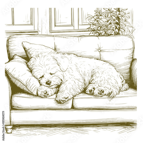 Maltese lapdog sleeps on a soft sofa in the room. Vector illustration. Indoor small dog, isolated on a white background.48