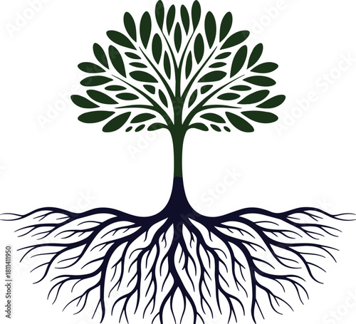 Elegant green tree with detailed branching roots illustration representing nature growth ecology sustainability organic development environmental concept botanical design natural ecosystem symbol