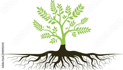 Green tree with detailed branching roots illustration representing nature growth ecology sustainability organic development environmental concept botanical design natural ecosystem symbol