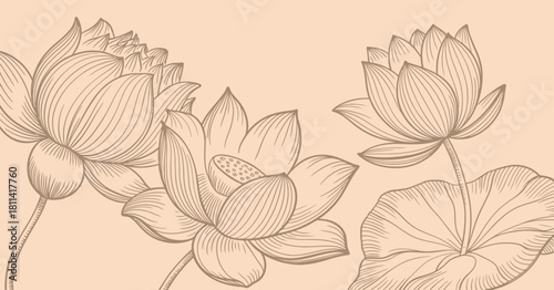 Floral lotus flowers with leaves in vintage style vector illustration