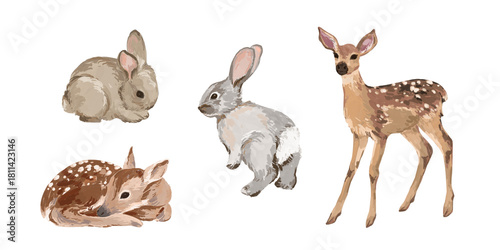 Canvas Print Hand-drawn forest animals clipart. Rabbits and baby deers