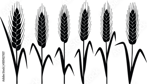 Wheat ears icon set with different shapes and sizes in dark blue silhouette style for agriculture design elements