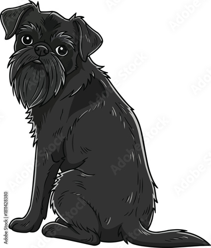 Griffon Belge dog sitting relaxed looking back cute illustration