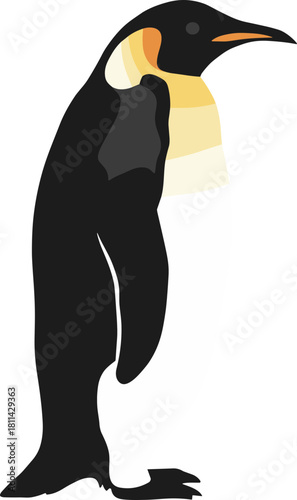 Simple Flat Illustration of Emperor Penguin Standing in Full Figure