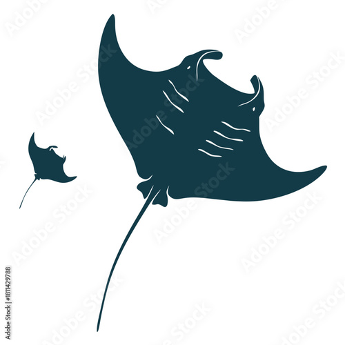 Dark silhouette of two manta rays swimming together Isolated transparent background ( include cut-out PNG file )