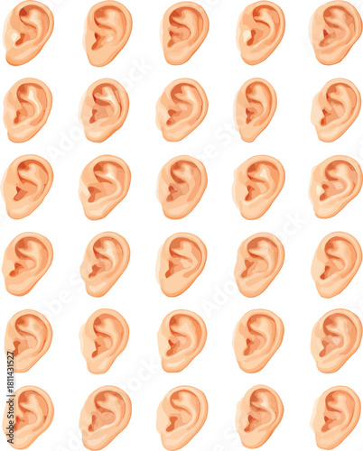 Anatomical Human Ear Pattern: Detailed Organ Illustration for Medical and Science Education