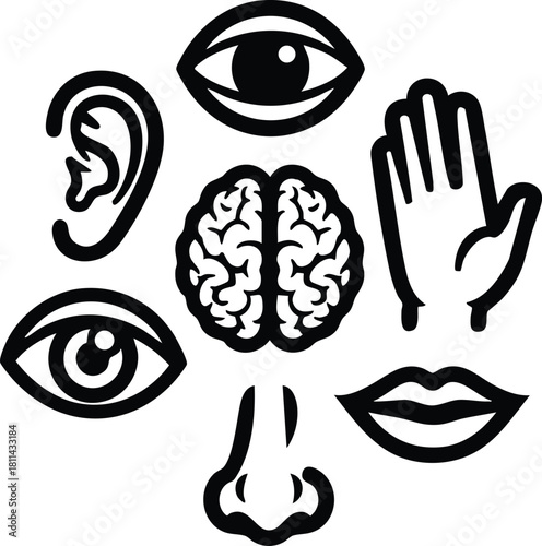 Human five senses icons with brain illustration in black and white minimal style