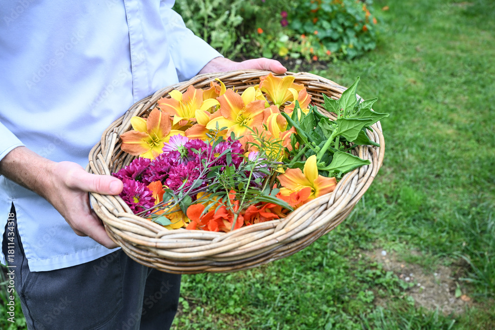 Fotografie jardin plante fleur comestible vivace hemerocalle