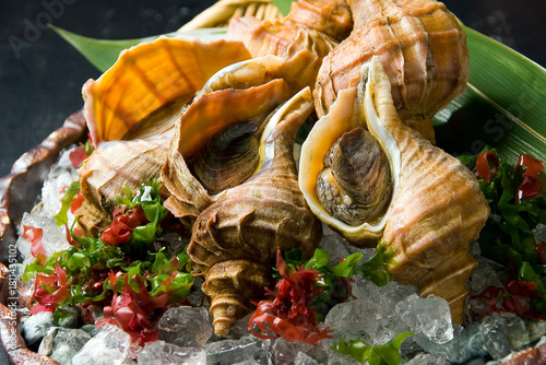 Photos ツブ貝の素材イメージ｜ whelk