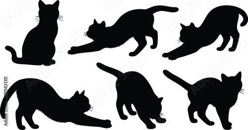 Black cat silhouette poses in various stretching and sitting positions isolated on white background natural feline behavior