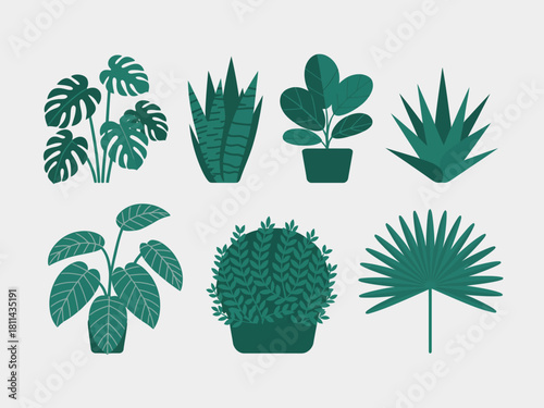 An assortment of six diverse houseplants arranged aesthetically, emphasizing a modern approach to indoor gardening, bringing nature's beauty indoors for improved ambiance and wellbeing.