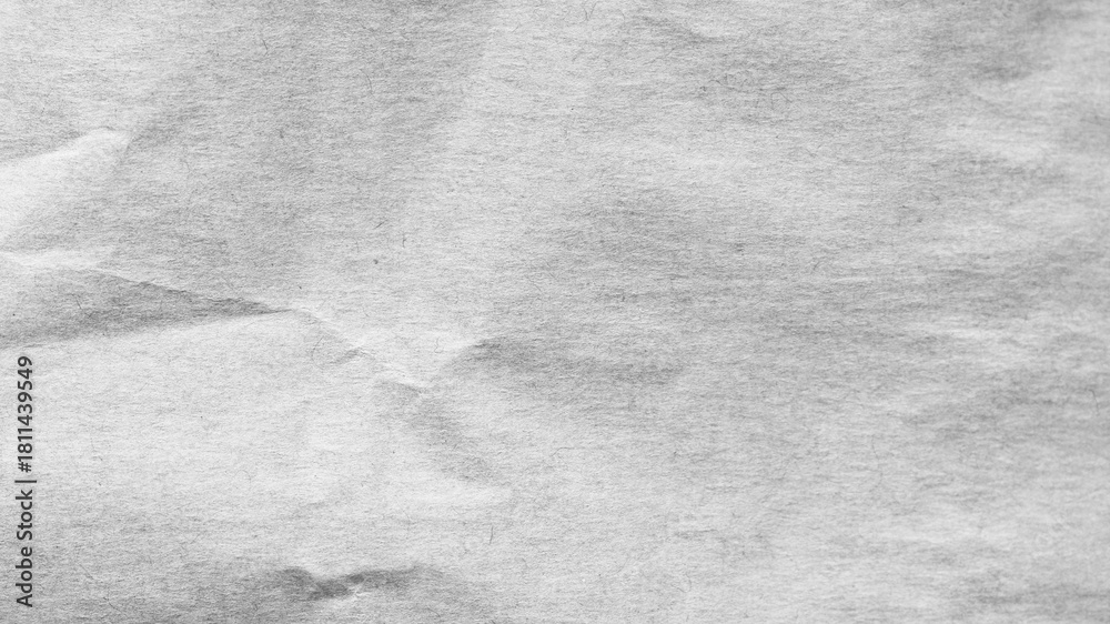 Fototapeta premium paper texture. Paper texture for use as a background