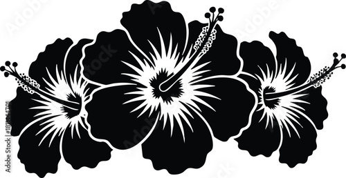 Black and white hibiscus flower silhouette design with three detailed blossoms and stamen elements
