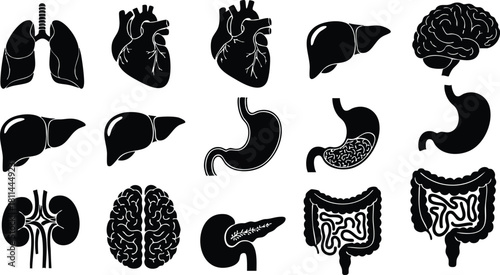 Human internal organs icons set lungs heart liver brain stomach kidney pancreas intestines vector illustration