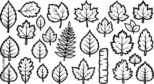 Collection of black and white hand-drawn leaf illustrations in various shapes and styles for nature design and botanical art projects