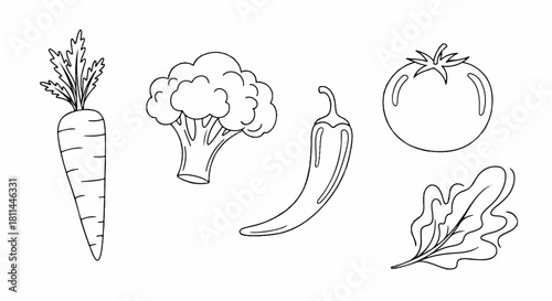 A collection of hand-drawn vegetable line art illustrations. Includes carrot, broccoli, chili pepper, tomato, and lettuce, representing fresh and healthy food