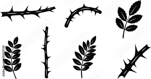 Black silhouette thorn branches and leaves set isolated on white background with sharp pointed thorns natural design elements