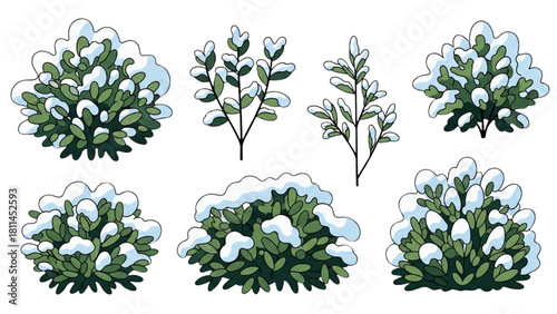 Winter Bushes and Branches with Snow Vector Illustrations for Design Elements