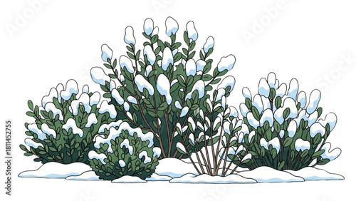 Snow-covered bushes and plants in a winter garden scene