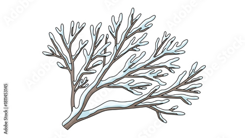 Winter concept illustration of a bare, snowy branch isolated on a white background