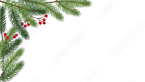 Festive Christmas Tree Branches with Red Berries on a White Background
