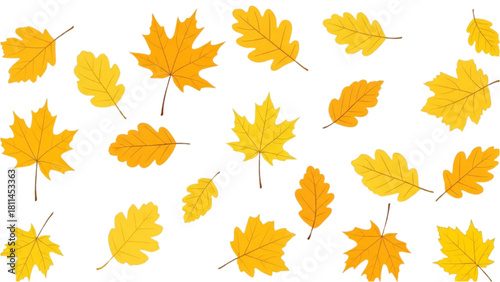 A beautiful collection of vibrant yellow and orange autumn leaves scattered on a white background