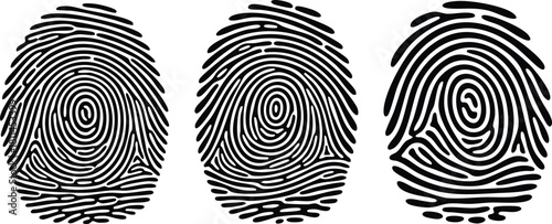 Three black fingerprint patterns isolated on white background with clear ridge details and oval shape