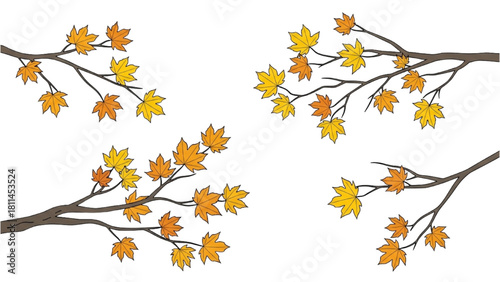 Vibrant Autumn Foliage Branches Illustration Set with Colorful Maple Leaves for Seasonal Design Elements