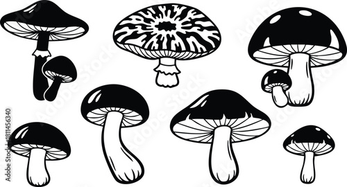 Various black and white mushroom sketches with distinctive caps and stems in simple line art style