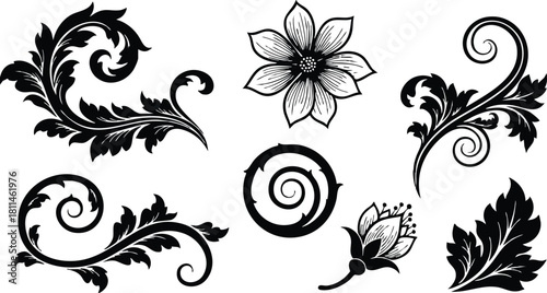 Vintage floral ornaments and decorative black swirls vector set with leaves and flower patterns for design projects