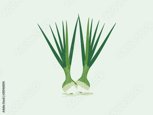 This clean vector illustration showcases a pair of fresh spring onions, emphasizing healthy eating and freshness, capturing the essence of agriculture and vitality in visuals.