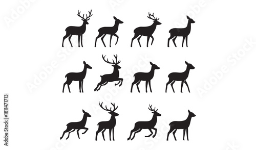 Graphic black silhouettes of wild deer male, female and roe deer Collection. Twelve Black Wildlife Poses with Antler Variations for Nature Design