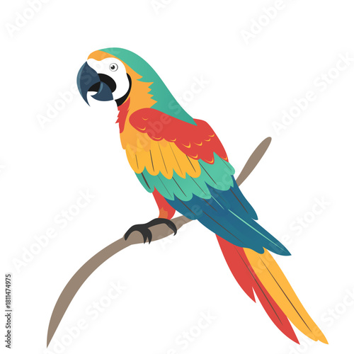 Bright colored amazon parrot flat illustration of a bird sitting on a branch