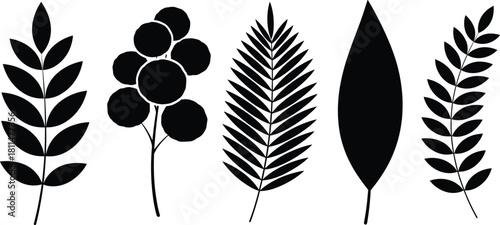 Botanical silhouette vector set, leaf and plant shapes, fern, foliage, nature elements, black isolated icons, decorative flora, design assets