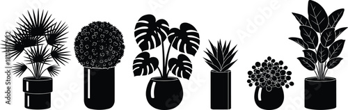 Indoor potted plants collection, vector houseplants, decorative foliage, botanical illustration, modern greenery, home decor, minimalist style, plant lover design, nature elements