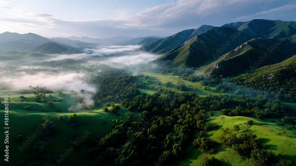 Naklejka premium Lush green valley enveloped in morning mist with mountains in the background