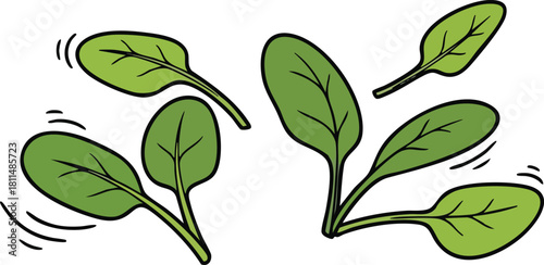 Green spinach leaves isolated on white background vibrant and fresh natural food ingredient healthy eating